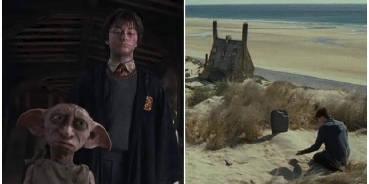 Fani Harry Potter opresc proiect energetic uriaș pentru mormântul lui Dobby