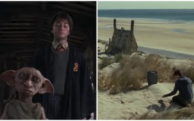 Fani Harry Potter opresc proiect energetic uriaș pentru mormântul lui Dobby