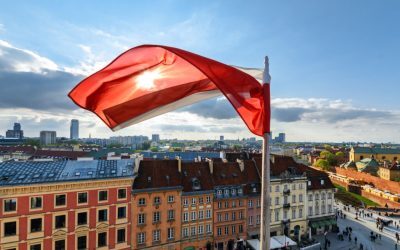 Puma în Polonia: Vânători, uimiți de apariția felină lângă Varșovia