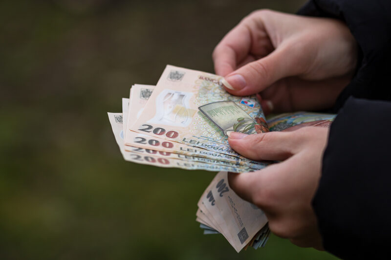 Pilonul II pensii: Borna istorică. Verifică-ți banii și contul