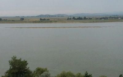 Dunărea stagnează, crește de pe 13 august