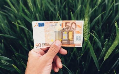 Fonduri UE 2026: 50.000 EUR pentru ferme mici. Ghid AFIR descărcabil