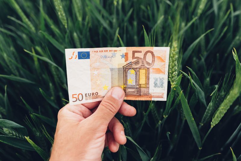 Fonduri UE 2026: 50.000 EUR pentru ferme mici. Ghid AFIR descărcabil
