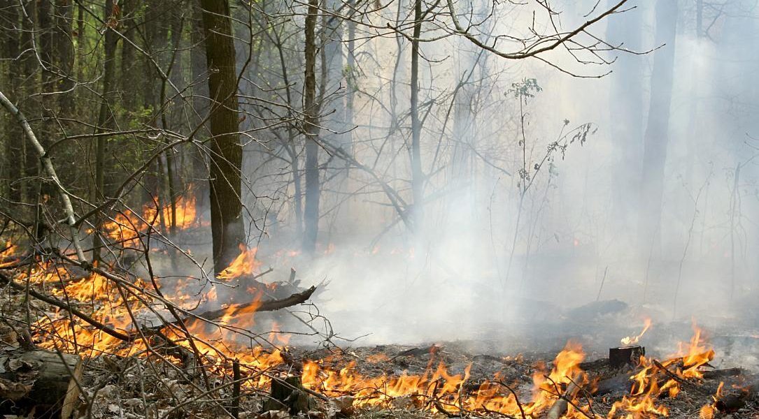 Incendiu în sud-estul României, după explozia unei drone