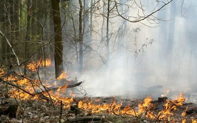 Incendiu în sud-estul României, după explozia unei drone