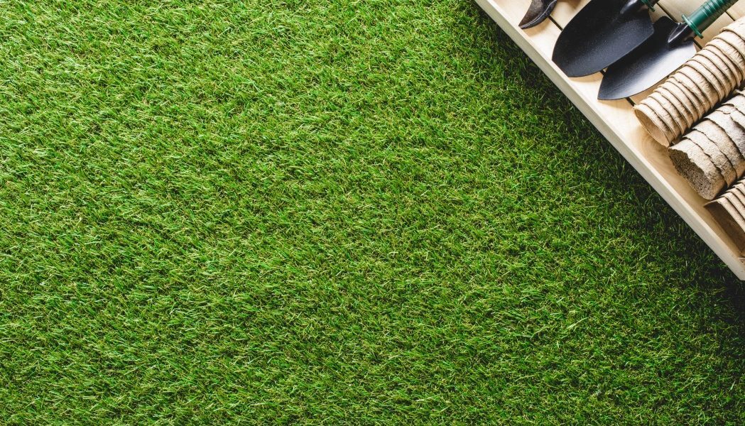 Peluza galbenă de caniculă? Salvarea ei rapidă, fără replantare
