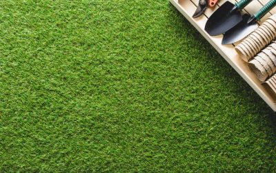 Peluza galbenă de caniculă? Salvarea ei rapidă, fără replantare