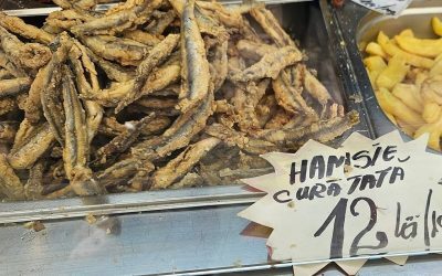 Hamsii la mare: sănătate sau pericol la tavă