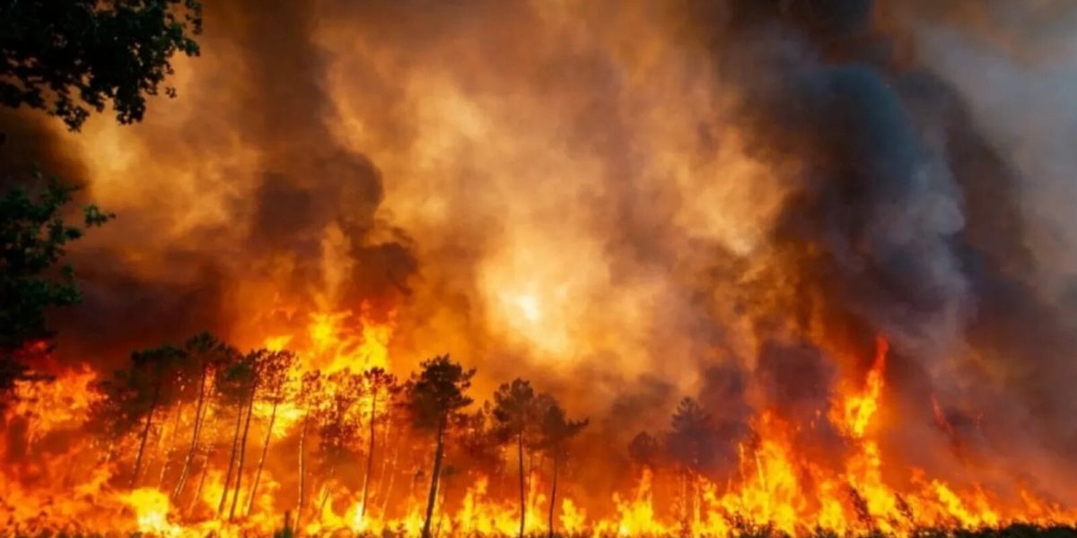 Canada: Urgență și 20.000 de evacuați