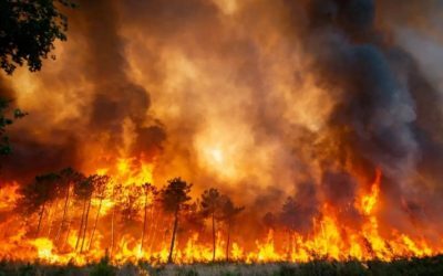 Canada: Urgență și 20.000 de evacuați