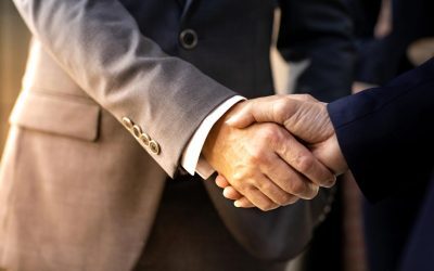 Provectus Capital ia Seatbelt Consulting