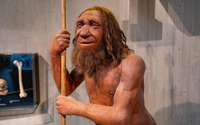 Moștenire Neanderthal: gena maselor musculare, doar pentru unii