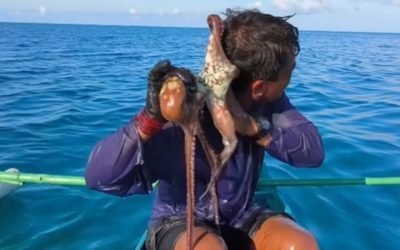 Pescar prins de caracatiță pe față, în Filipine