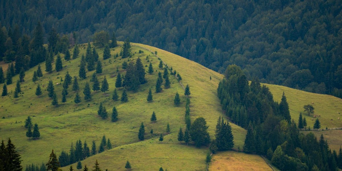 Legea Biodiversității: 972 mil. euro vs. realitatea bio din România