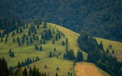 Legea Biodiversității: 972 mil. euro vs. realitatea bio din România