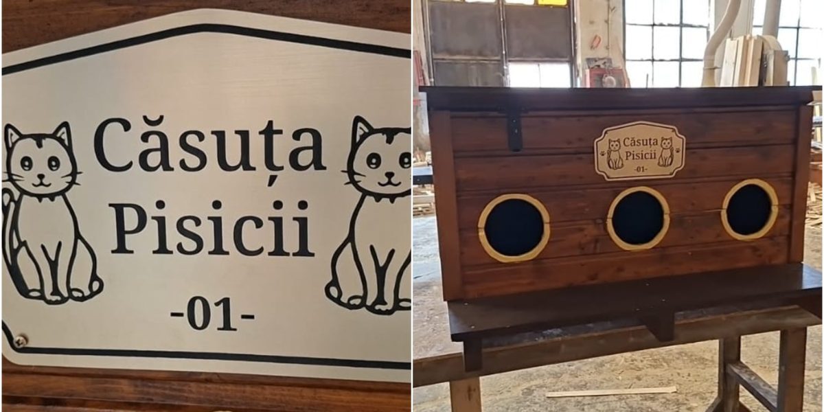 Arad: Căsuțe gratis pentru pisici, un gest de suflet
