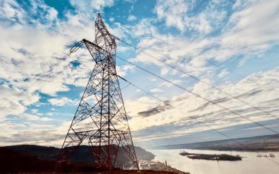 Guvernul restricționează exporturile și consumul de energie
