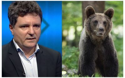 Nicuşor Dan, ursul înapoi la Parlament. CCR a respins, legea merge mai departe