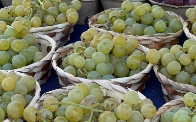 Cafea, struguri, citrice: pesticide UE stricte lovesc importurile