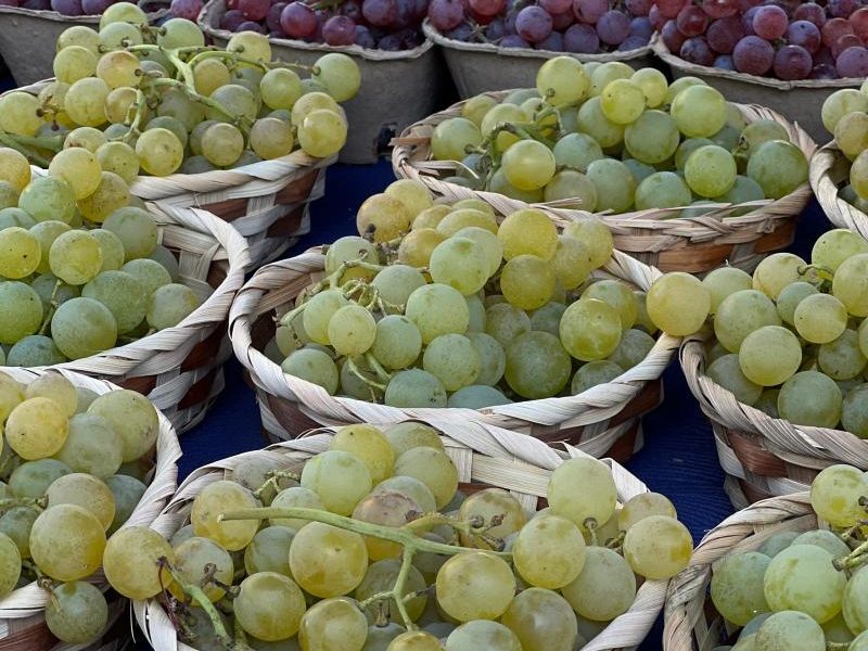 Cafea, struguri, citrice: pesticide UE stricte lovesc importurile