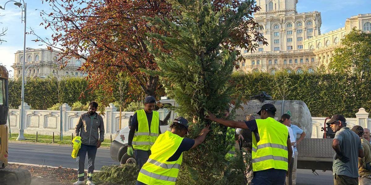 Ciucu transformă Bulevardul 13 Septembrie în corset verde