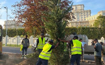 Ciucu transformă Bulevardul 13 Septembrie în corset verde