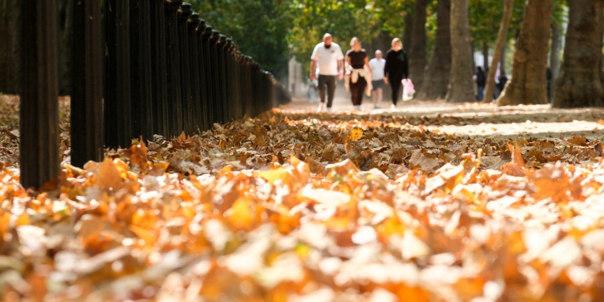 Toamna ține cu noi: temperaturi ridicate, ANM anunță până-n octombrie