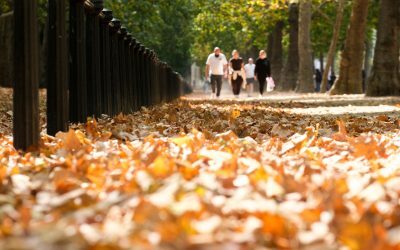 Toamna ține cu noi: temperaturi ridicate, ANM anunță până-n octombrie