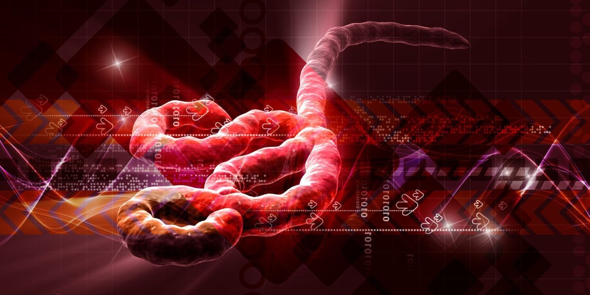 Virusuri letale: Unde se ascund după epidemie?