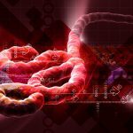 Virusuri letale: Unde se ascund după epidemie?