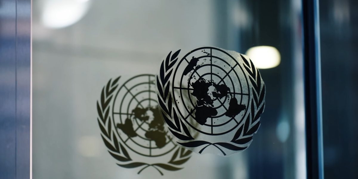 Nicosor Dan la ONU: Capitala își prezintă agenda europeană