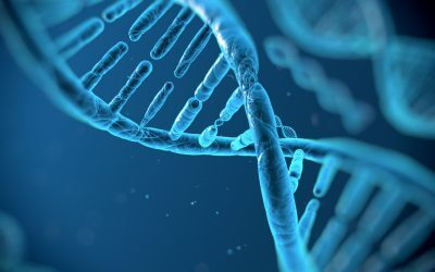 ADN-ul gunoi, secretul luptei contra cancerului