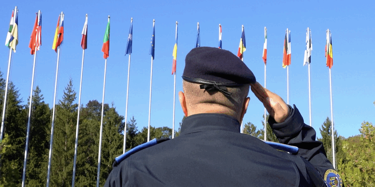 Militari din 19 țări, la exerciții masive în România