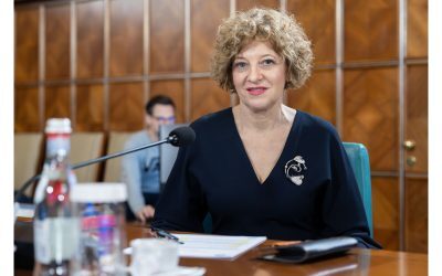Oana Gheorghiu, atac devastator la proiectul AUR despre drapelul național