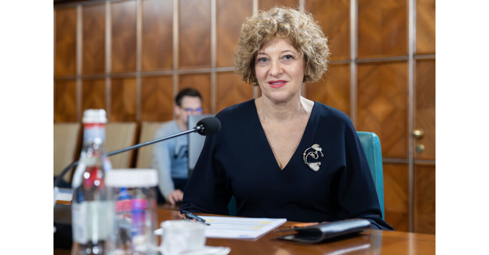 Oana Gheorghiu, atac devastator la proiectul AUR despre drapelul național