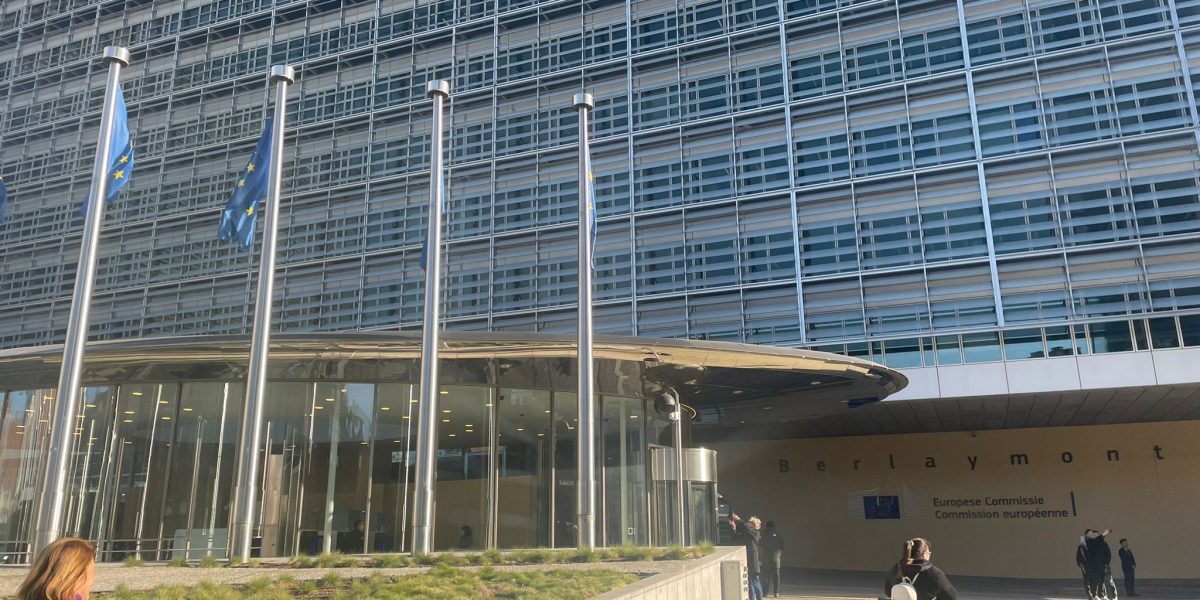 Europa slabă pentru un război cu Rusia, spun experți apărării