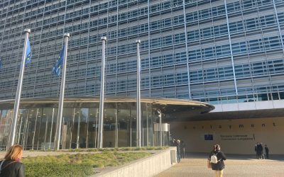 Europa slabă pentru un război cu Rusia, spun experți apărării