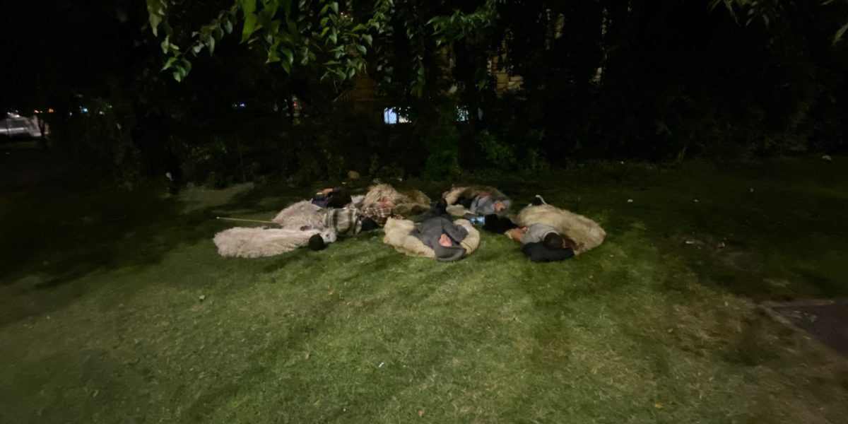 Ciobani cu cojoace la Antipa: Dorm sub cerul liber