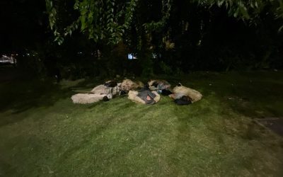 Ciobani cu cojoace la Antipa: Dorm sub cerul liber