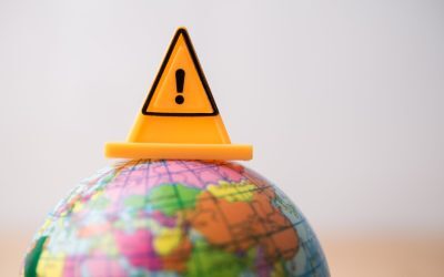Pădurile de alge, dezamăgire climatică. Studiul critic