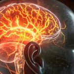 Creierul la 50-75 ani: o revoluție biologică uluitoare