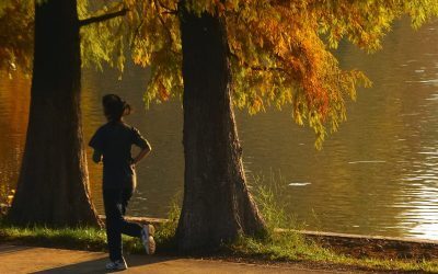 Sportul în adolescență, cheia spre succes în carieră