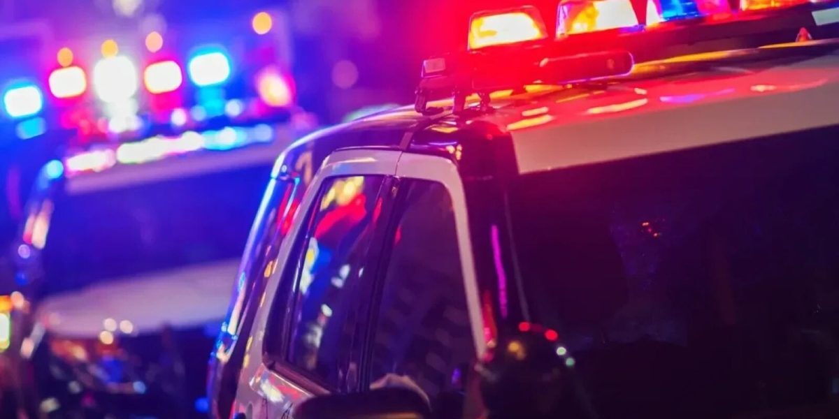Mama înjunghiată: Agresorul din Suceava, prins de polițiști