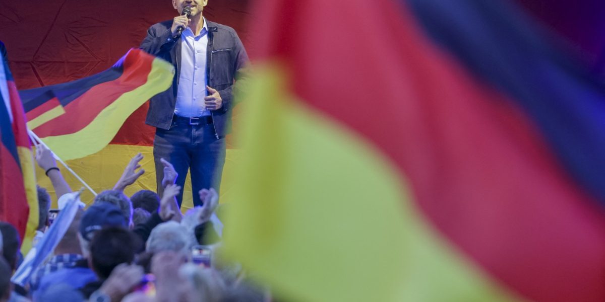 AfD, dincolo de migrație: Ce promisiuni au dus partidul aproape de victorie