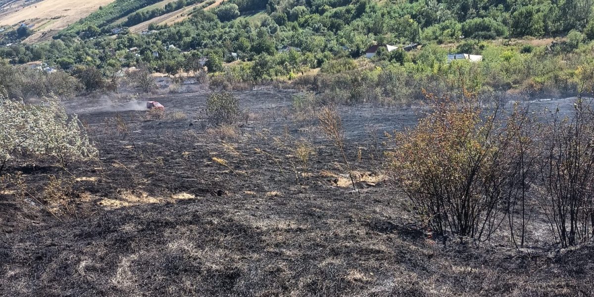 Incendiu Vaslui: Flăcări pe 12 ha, șapte case salvate
