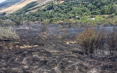 Incendiu Vaslui: Flăcări pe 12 ha, șapte case salvate