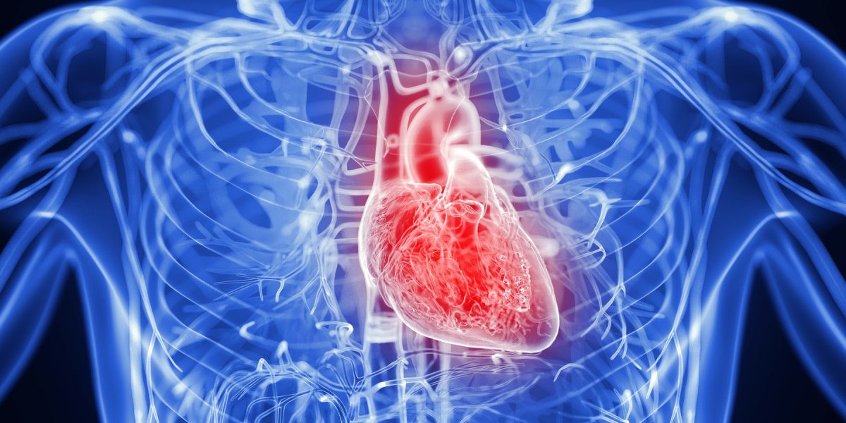 Inima, schimbată de inflamație: Genele și stilul, factori cheie
