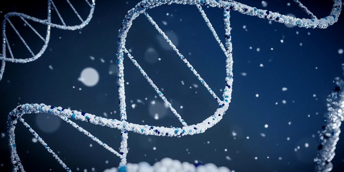 Celulele canceroase, prinse la… ADN! O nouă speranță de tratament
