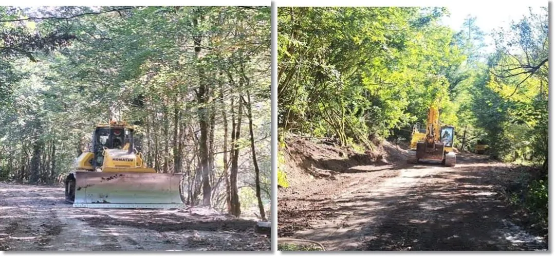 Timiș: Începe cel mai spectaculos drum spre Carpați
