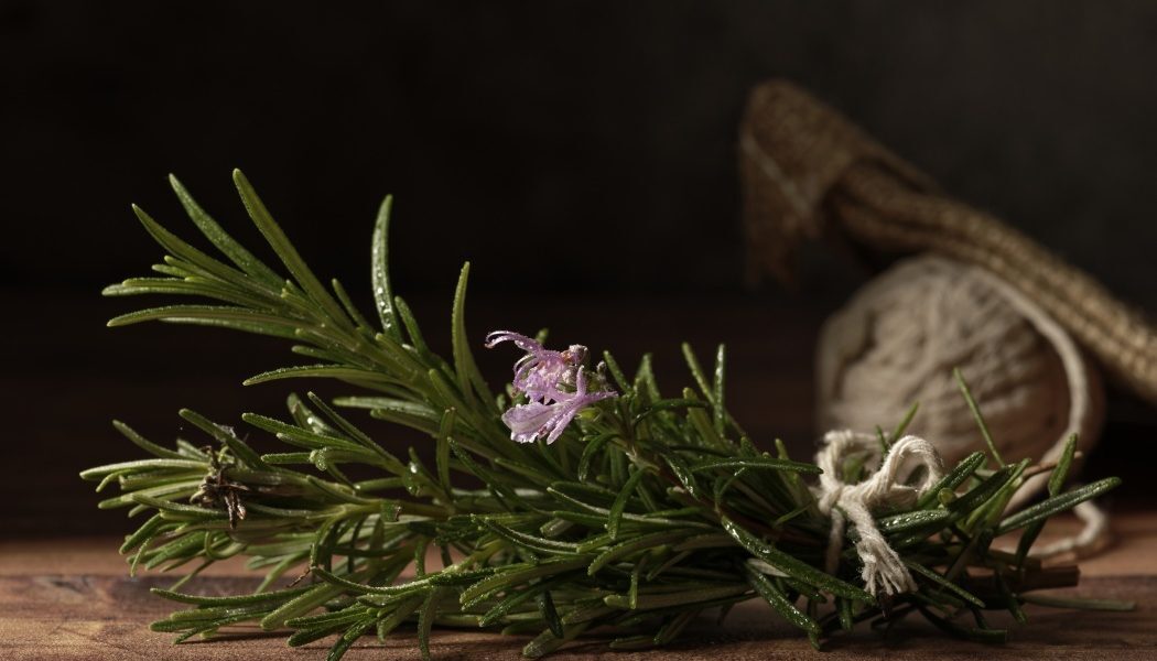 Ce plantă uimitoare ajută memoria și concentrarea